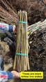 Bundle of black willow live stakes tied with green straps, Black Willow Stakes