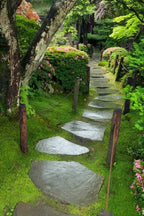 Carpet Moss: mossy stone pathway with dark gray stepping stones in lush garden