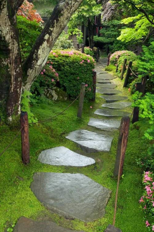 Carpet Moss: mossy stone pathway with dark gray stepping stones in lush garden