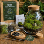 Glass jar terrarium plants kit with cork lid featuring lush green moss layered with soil and small pebbles