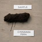 Cinnamon Fern