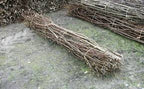 Bundles of dried brown twigs from Fascine Bundles on concrete surface