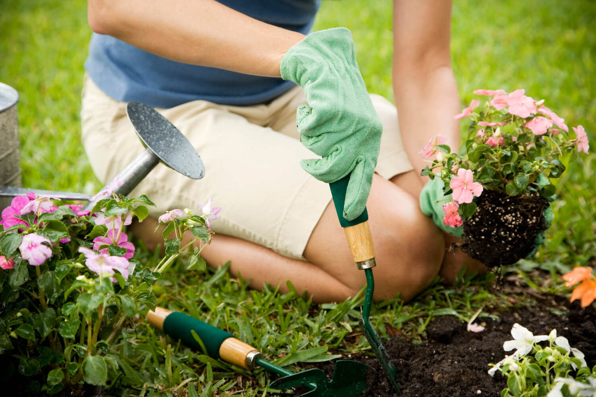 A person planting perennials with tools and plants on a grassy area