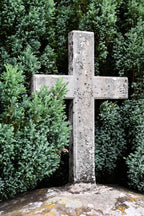 Weathered gray stone cross with moss and lichen in Memorial Tree shrubs