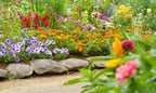 Vibrant native garden bed with red, orange, purple, yellow flowers and gray stone border