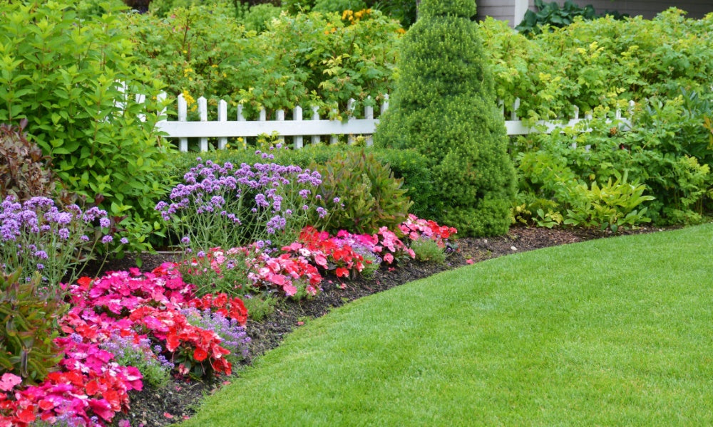 Vibrant purple pink red native flower bed in Native Plant Subscription Box