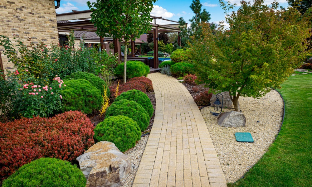 Curved beige brick path in native plant garden for monthly subscription box