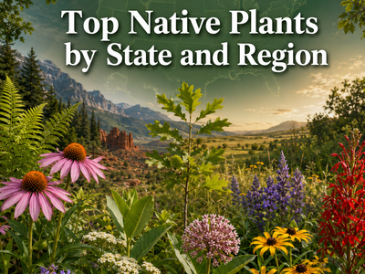 Top Native Plants by State and Region