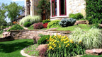 Lush green lawn with stone edging, yellow daylilies and grasses in Seasonal Plant Box