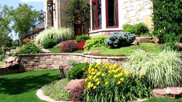 Lush green lawn with stone edging, yellow daylilies and grasses in Seasonal Plant Box