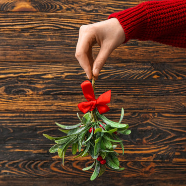 Mistletoe Holiday Sprig with green branch, red berries and bow
