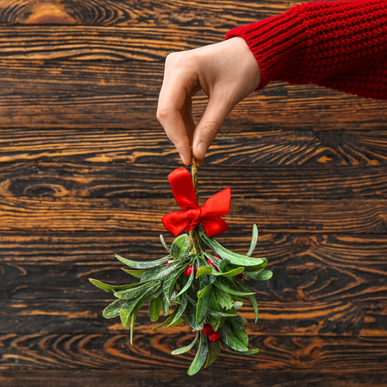 Mistletoe Holiday Sprig with green branch, red berries and bow