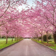 Flowering Trees