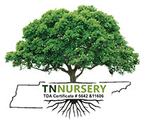 Navigate back to TN Nursery homepage