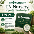 TN Nursery loyalty membership promotional flyer featuring a green membership card and potted plants displayed on stone surface - TN Nursery
