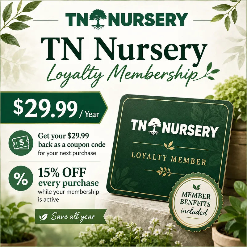 TN Nursery loyalty membership promotional flyer featuring a green membership card and potted plants displayed on stone surface - TN Nursery