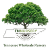 TN Nursery logo