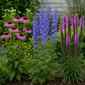 A garden bed filled with blooming flowers, including pink coneflowers, blue delphiniums, and purple tall flower spikes among green foliage.