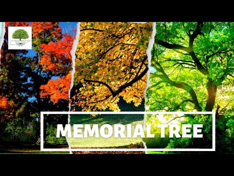 TN Nursery video on  Memorial Tree
