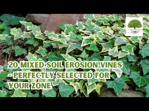 TN Nursery video on Mixed Soil Erosion Vines
