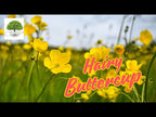 TN Nursery video on  Hairy Buttercup
