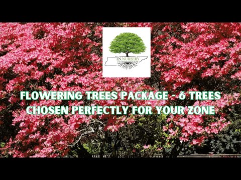 TN Nursery video on Flowering Trees Package 
