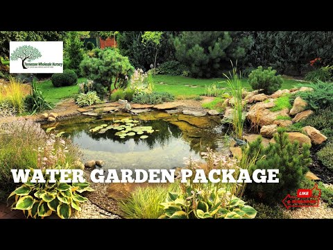 TN Nursery Video  on Water Garden Plants