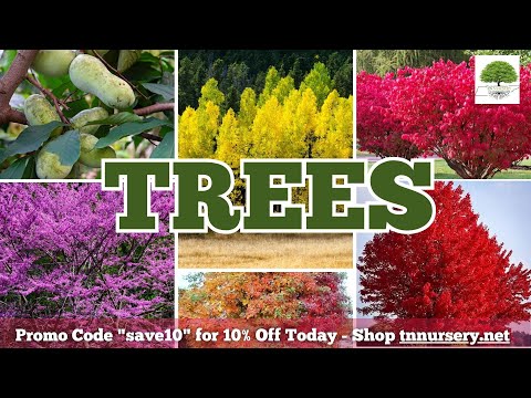 TN Nursery video on  Trees 
