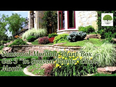 TN Nursery video on Seasonal Monthly Plant Box