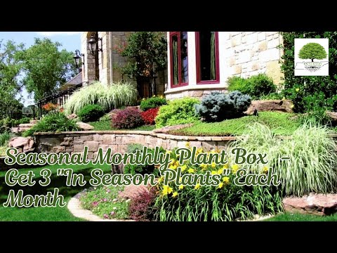 TN Nursery video on Seasonal Monthly Plant Box