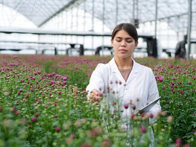 A Comprehensive Study of Native Plants in the Southeastern United States