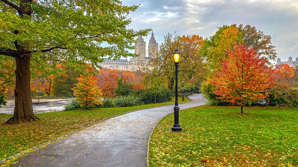 Trusted In Landscapes & 
National Landmarks