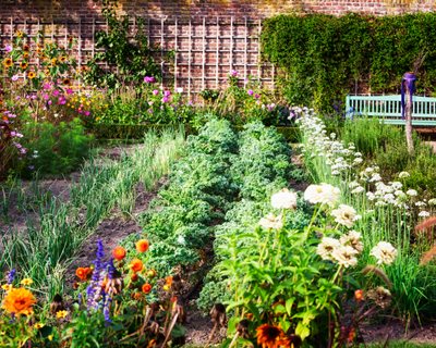 Starting an Organic Garden: 10 Keys for Beginners | Garden Design