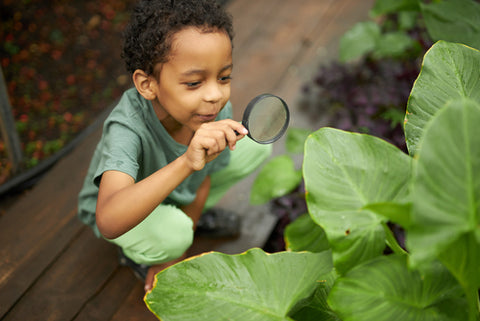 Child in garden